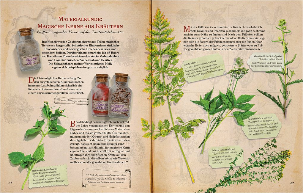 Weitere Ansicht: Zauberstäbe und ihre Geheimnisse | Stephan Köstler