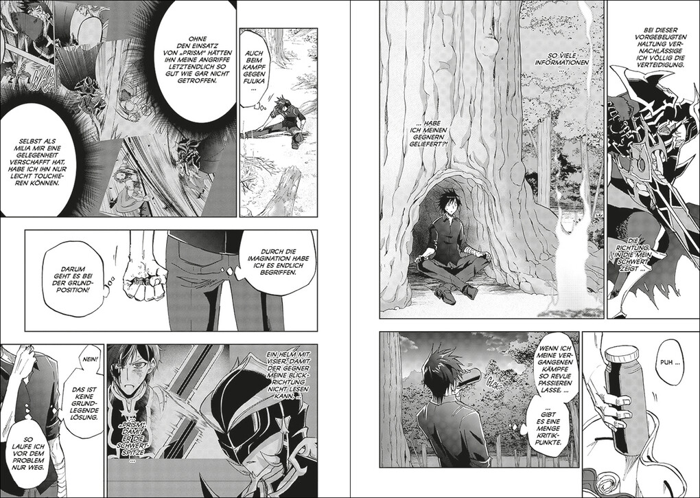 Weitere Ansicht: Dark Paladin 08 | Fumikaru Nishijima