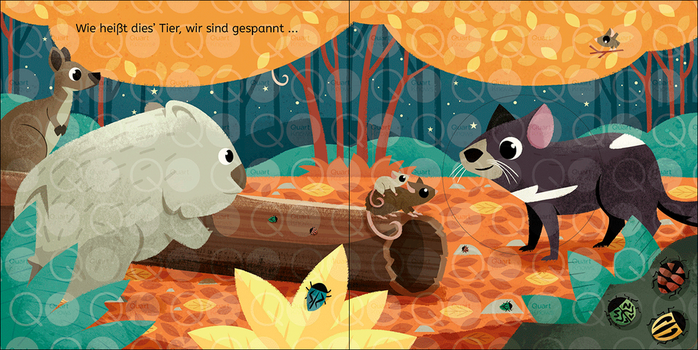 Weitere Ansicht: Schau mal, was passiert! In der Nacht