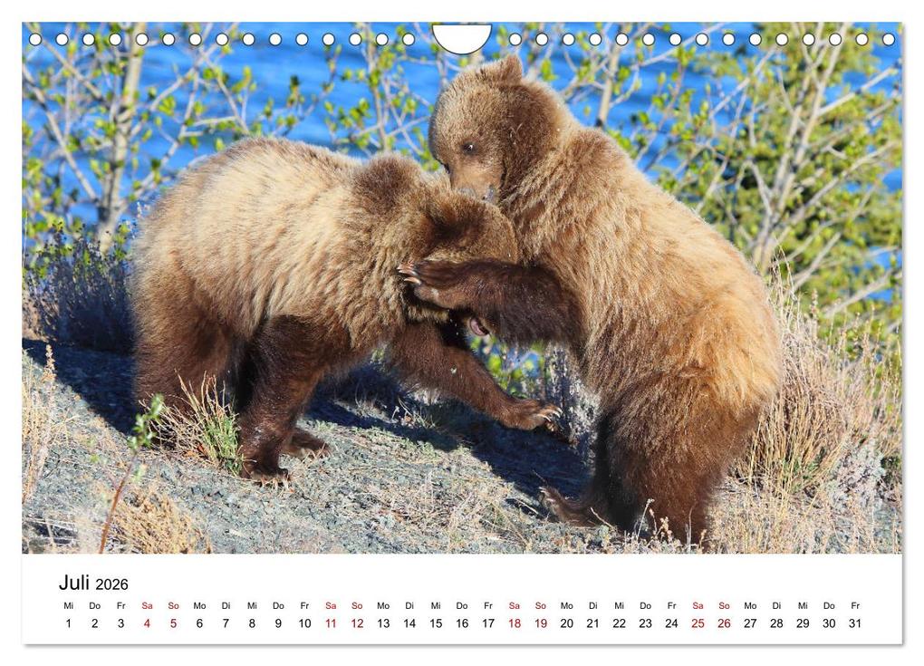 Weitere Ansicht: Alaska und West-Kanada (Wandkalender 2026 DIN A4 quer), CALVENDO Monatskalender | Carsten Braue, Calvendo