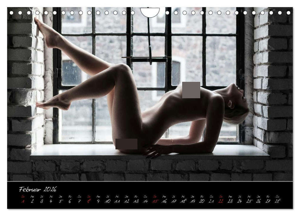 Weitere Ansicht: PinUp-Kalender 2026 (Wandkalender 2026 DIN A4 quer), CALVENDO Monatskalender | DREAMPIXX DREAMPIXX, Calvendo, DREAMPIXX