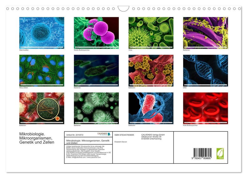 Weitere Ansicht: Mikrobiologie. Mikroorganismen, Genetik und Zellen (Wandkalender 2026 DIN A3 quer), CALVENDO Monatskalender | Calvendo, Elisabeth Stanzer