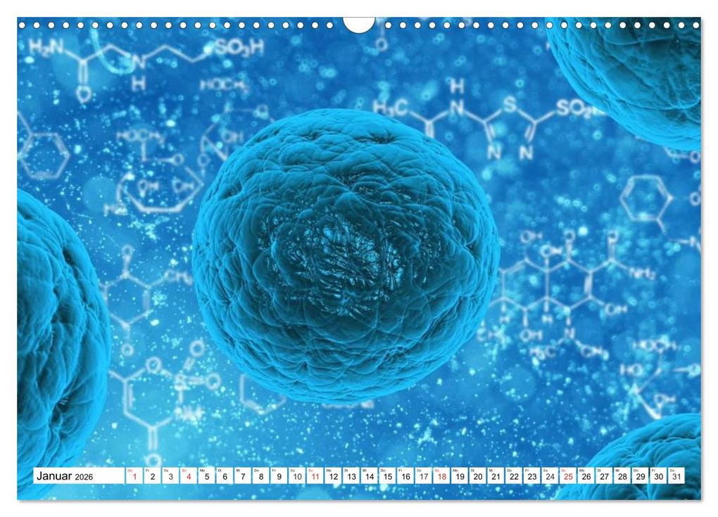 Weitere Ansicht: Mikrobiologie. Mikroorganismen, Genetik und Zellen (Wandkalender 2026 DIN A3 quer), CALVENDO Monatskalender | Calvendo, Elisabeth Stanzer