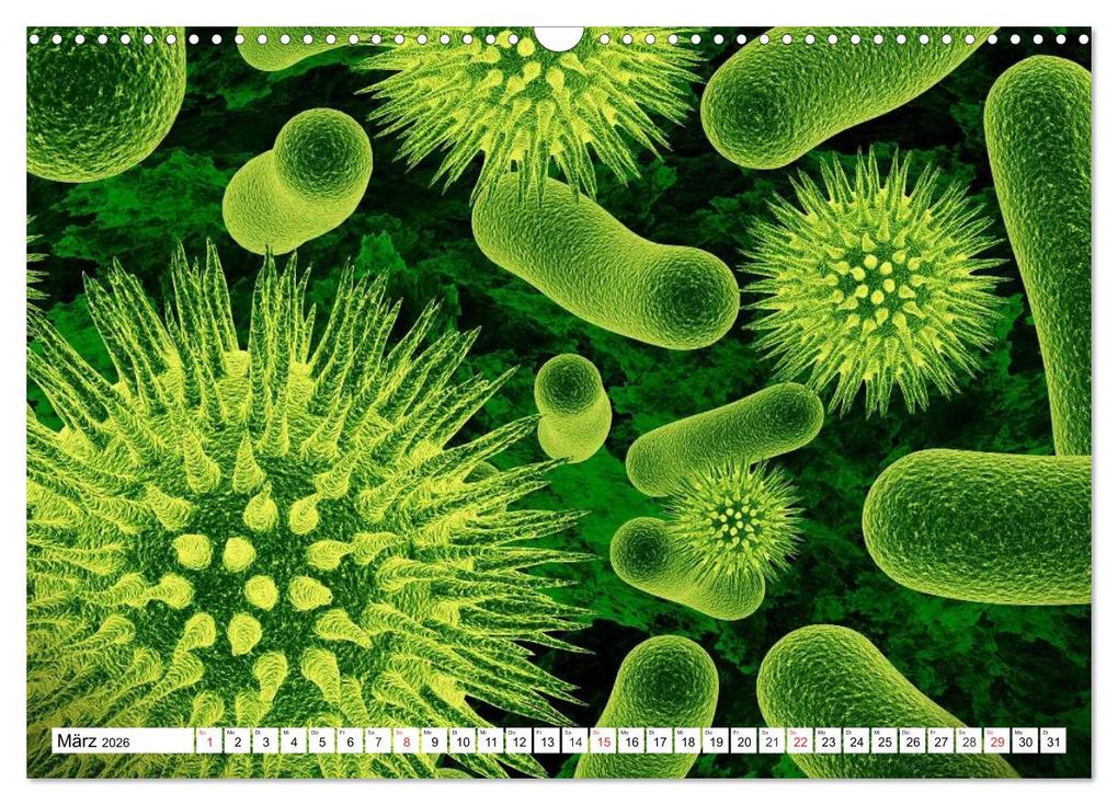 Weitere Ansicht: Mikrobiologie. Mikroorganismen, Genetik und Zellen (Wandkalender 2026 DIN A3 quer), CALVENDO Monatskalender | Calvendo, Elisabeth Stanzer