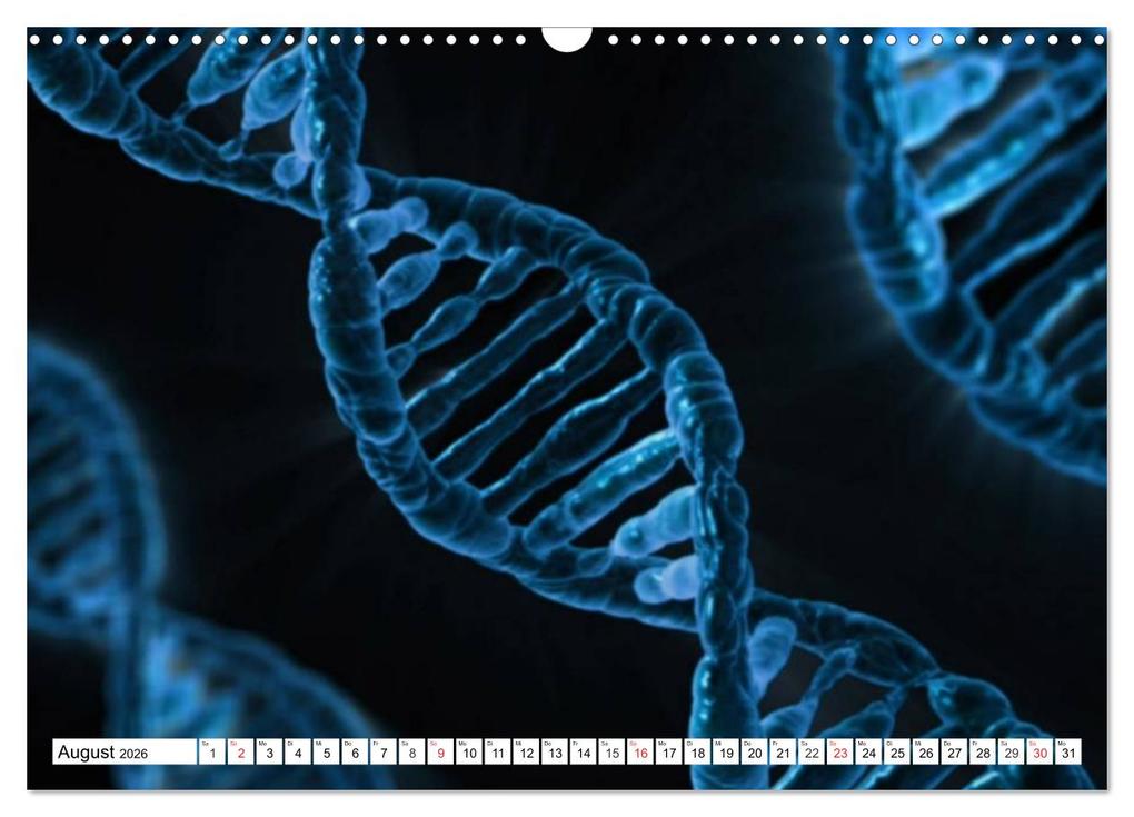 Weitere Ansicht: Mikrobiologie. Mikroorganismen, Genetik und Zellen (Wandkalender 2026 DIN A3 quer), CALVENDO Monatskalender | Calvendo, Elisabeth Stanzer