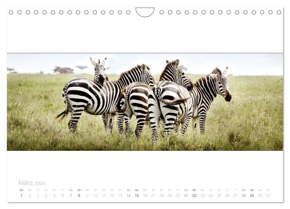 Weitere Ansicht: Serengeti Panorama (Wandkalender 2026 DIN A4 quer), CALVENDO Monatskalender | studio visuell photography, Calvendo