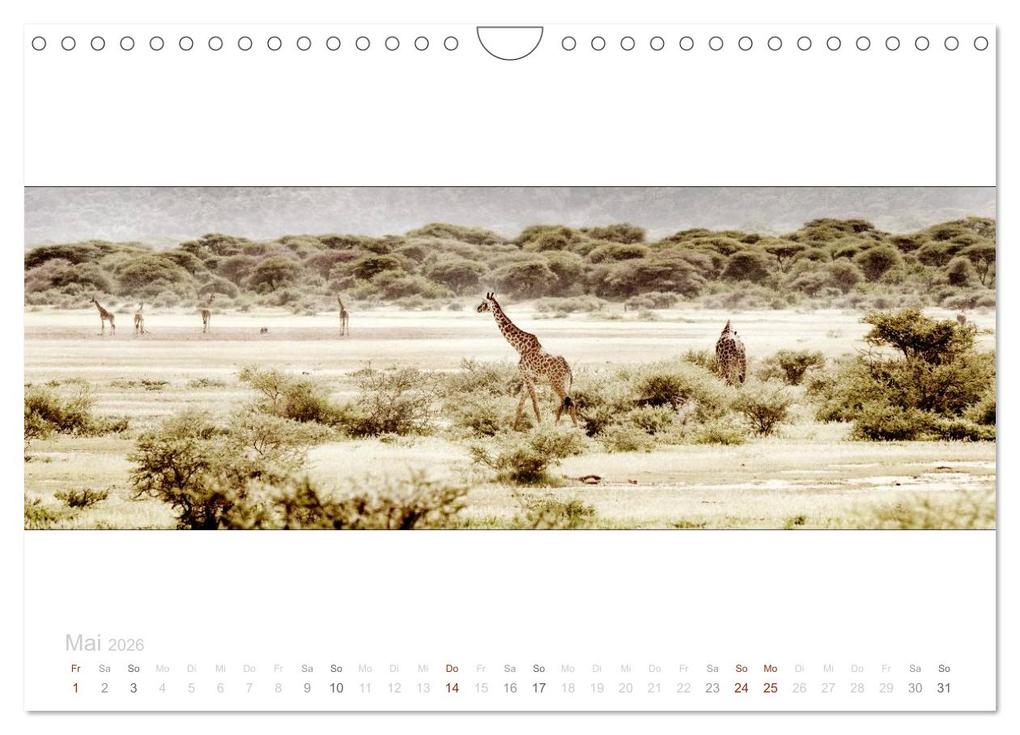Weitere Ansicht: Serengeti Panorama (Wandkalender 2026 DIN A4 quer), CALVENDO Monatskalender | studio visuell photography, Calvendo