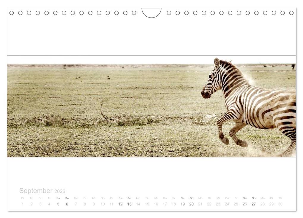 Weitere Ansicht: Serengeti Panorama (Wandkalender 2026 DIN A4 quer), CALVENDO Monatskalender | studio visuell photography, Calvendo
