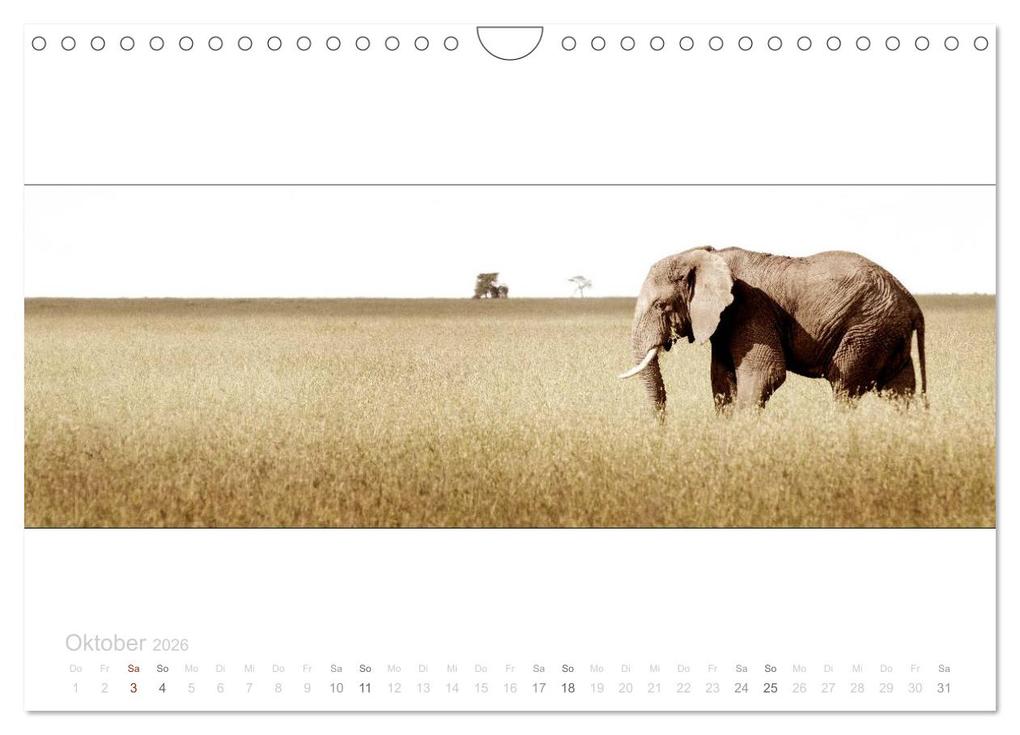 Weitere Ansicht: Serengeti Panorama (Wandkalender 2026 DIN A4 quer), CALVENDO Monatskalender | studio visuell photography, Calvendo