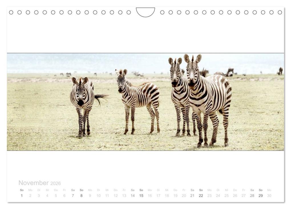 Weitere Ansicht: Serengeti Panorama (Wandkalender 2026 DIN A4 quer), CALVENDO Monatskalender | studio visuell photography, Calvendo