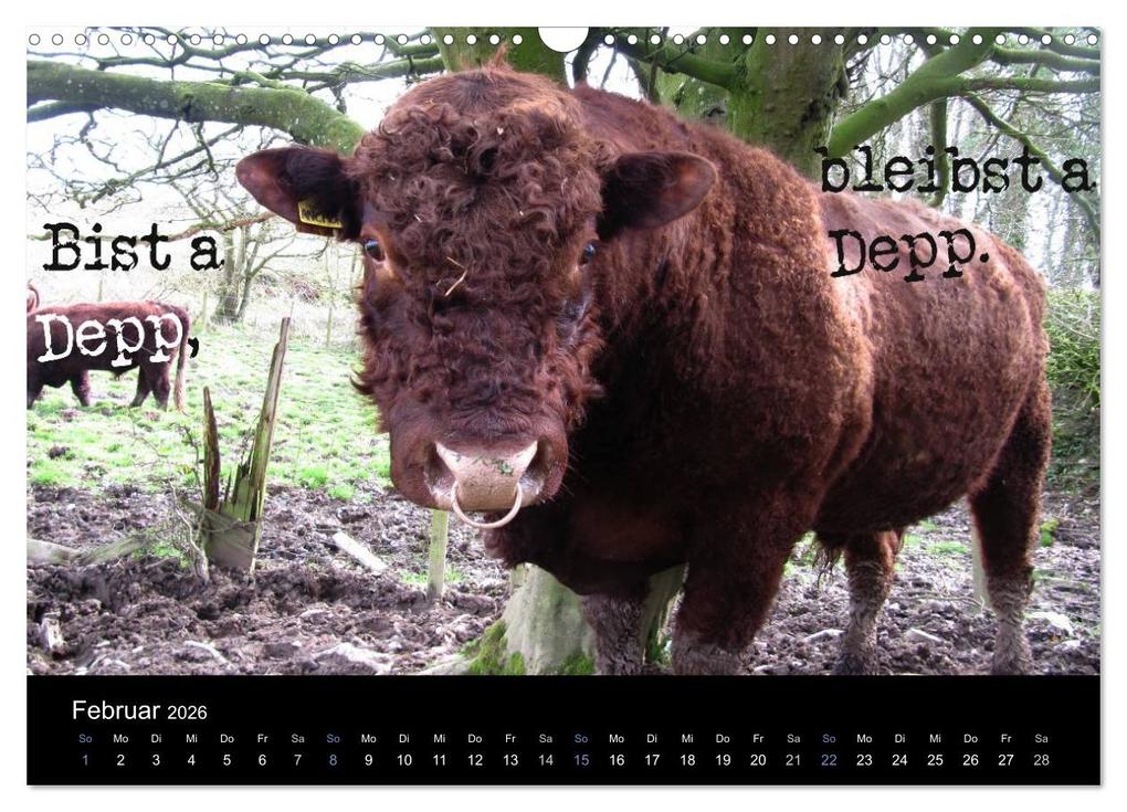 Weitere Ansicht: Baierische Lebensweisheiten (Wandkalender 2026 DIN A3 quer), CALVENDO Monatskalender | ~bwd~ ~bwd~, Calvendo, ~bwd~