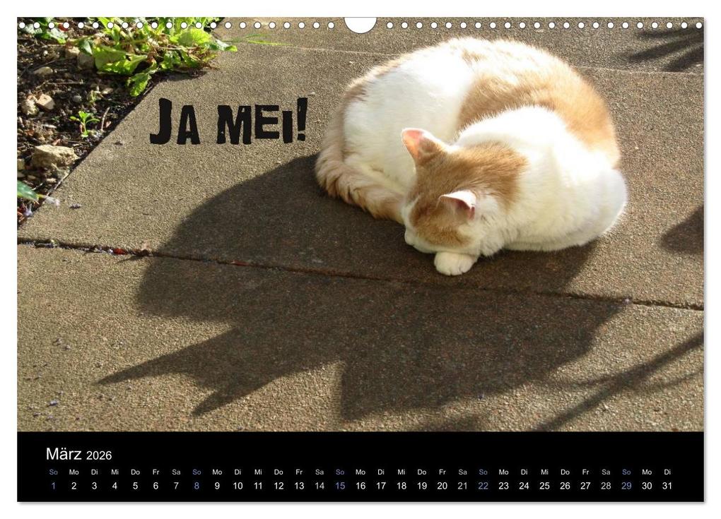 Weitere Ansicht: Baierische Lebensweisheiten (Wandkalender 2026 DIN A3 quer), CALVENDO Monatskalender | ~bwd~ ~bwd~, Calvendo, ~bwd~