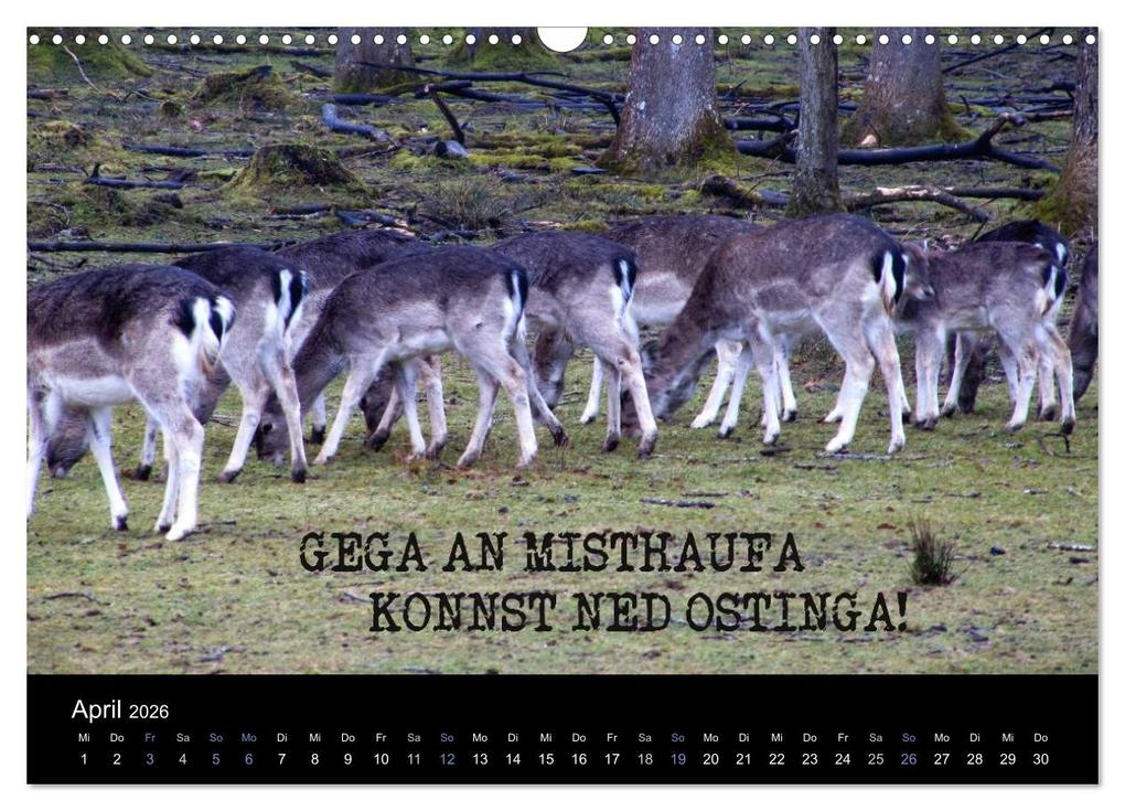 Weitere Ansicht: Baierische Lebensweisheiten (Wandkalender 2026 DIN A3 quer), CALVENDO Monatskalender | ~bwd~ ~bwd~, Calvendo, ~bwd~