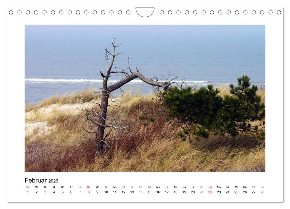 Weitere Ansicht: JUIST - Ansichten einer Insel (Wandkalender 2026 DIN A4 quer), CALVENDO Monatskalender | Marco Kegel, Calvendo