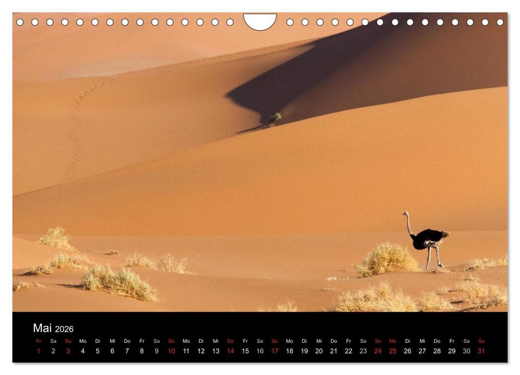 Weitere Ansicht: Vögel & Landschaften (Wandkalender 2026 DIN A4 quer), CALVENDO Monatskalender | birdimagency.com birdimagency.com, Calvendo, Birdimagency.com