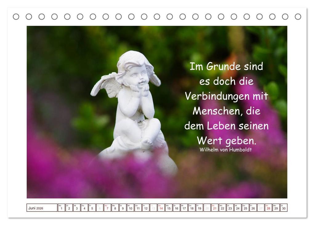 Weitere Ansicht: Engel-Kalender mit Zitaten (Tischkalender 2026 DIN A5 quer), CALVENDO Monatskalender | Tanja Riedel, Calvendo
