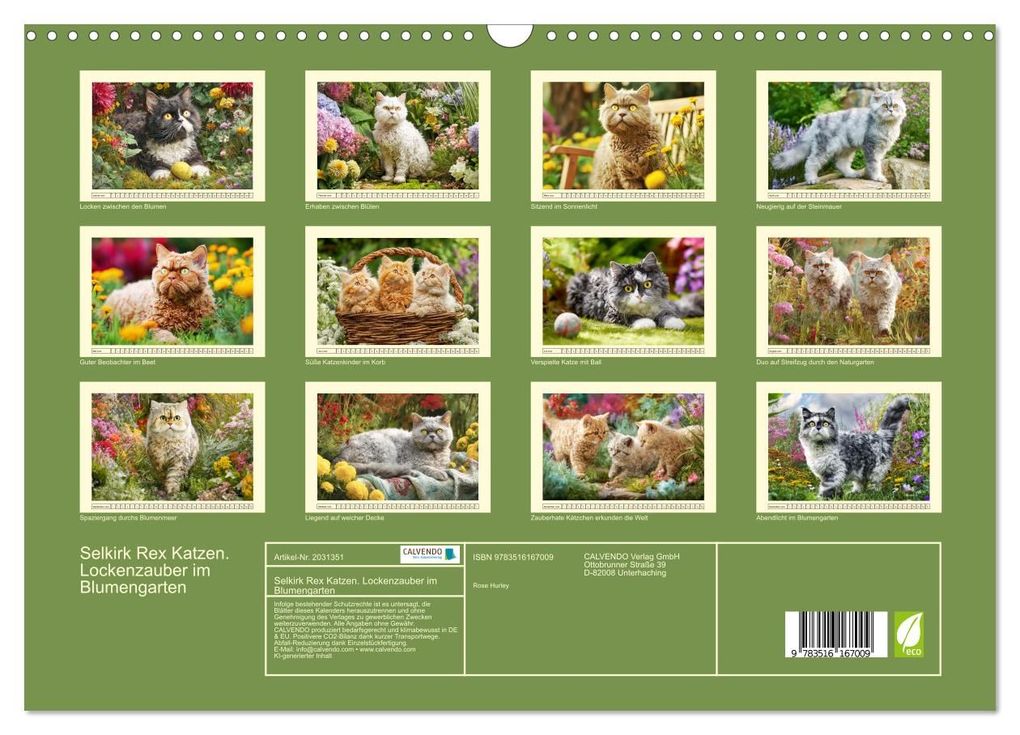 Weitere Ansicht: Selkirk Rex Katzen. Lockenzauber im Blumengarten (Wandkalender 2026 DIN A3 quer), CALVENDO Monatskalender | Rose Hurley, Calvendo