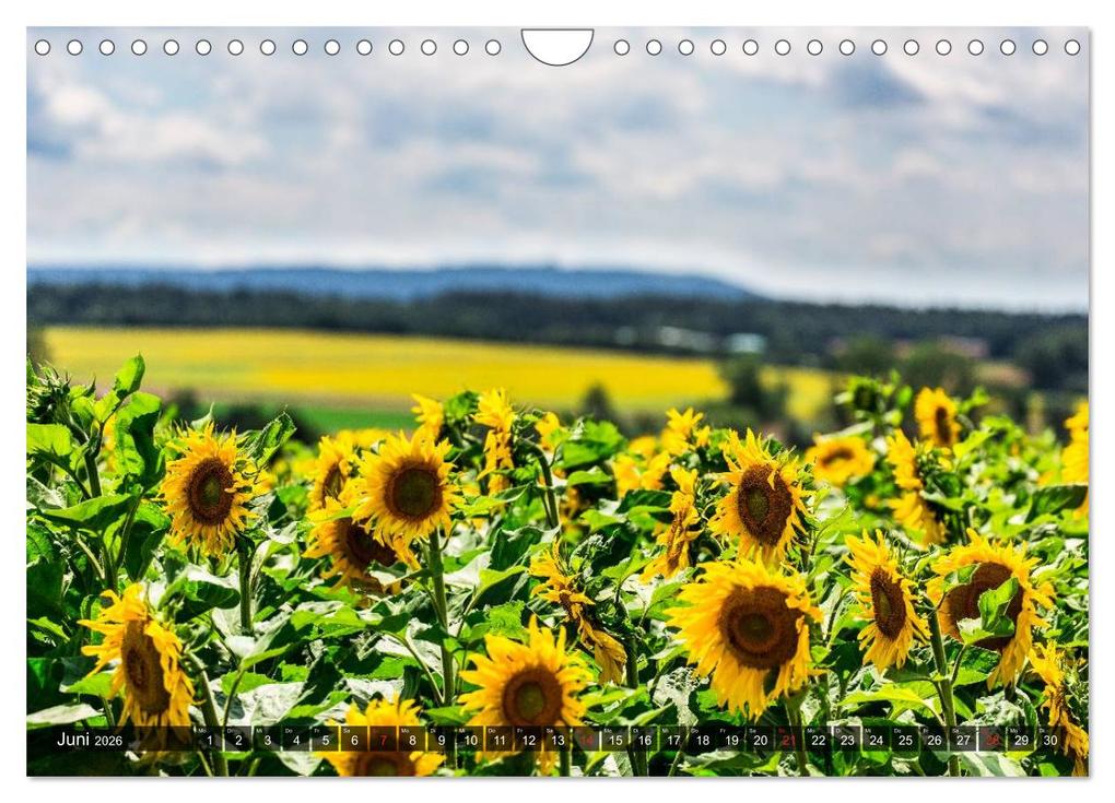 Weitere Ansicht: Franken WildRomantisch (Wandkalender 2026 DIN A4 quer), CALVENDO Monatskalender | Ulrich Geyer Fotografie, Calvendo