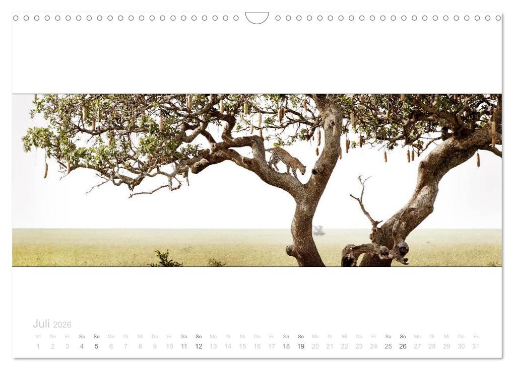 Weitere Ansicht: Serengeti Panorama (Wandkalender 2026 DIN A3 quer), CALVENDO Monatskalender | studio visuell photography, Calvendo