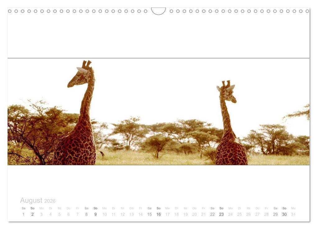 Weitere Ansicht: Serengeti Panorama (Wandkalender 2026 DIN A3 quer), CALVENDO Monatskalender | studio visuell photography, Calvendo