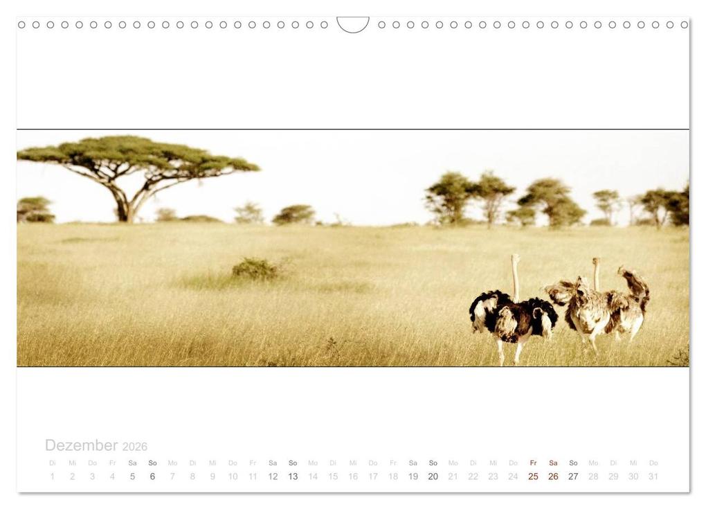 Weitere Ansicht: Serengeti Panorama (Wandkalender 2026 DIN A3 quer), CALVENDO Monatskalender | studio visuell photography, Calvendo