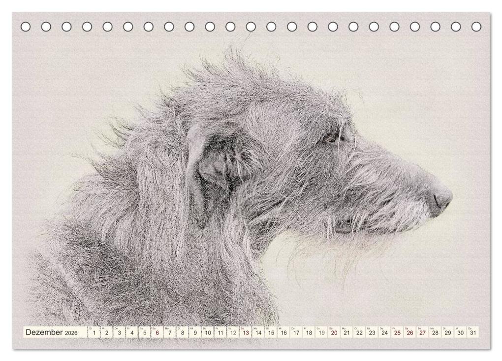 Weitere Ansicht: Windhunde 2026 (Tischkalender 2026 DIN A5 quer), CALVENDO Monatskalender | Andrea Redecker, Calvendo