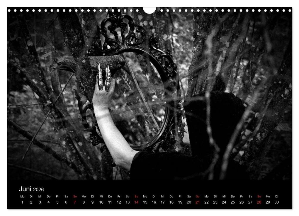Weitere Ansicht: Hexen (Wandkalender 2026 DIN A3 quer), CALVENDO Monatskalender | Calvendo, Michel Villard