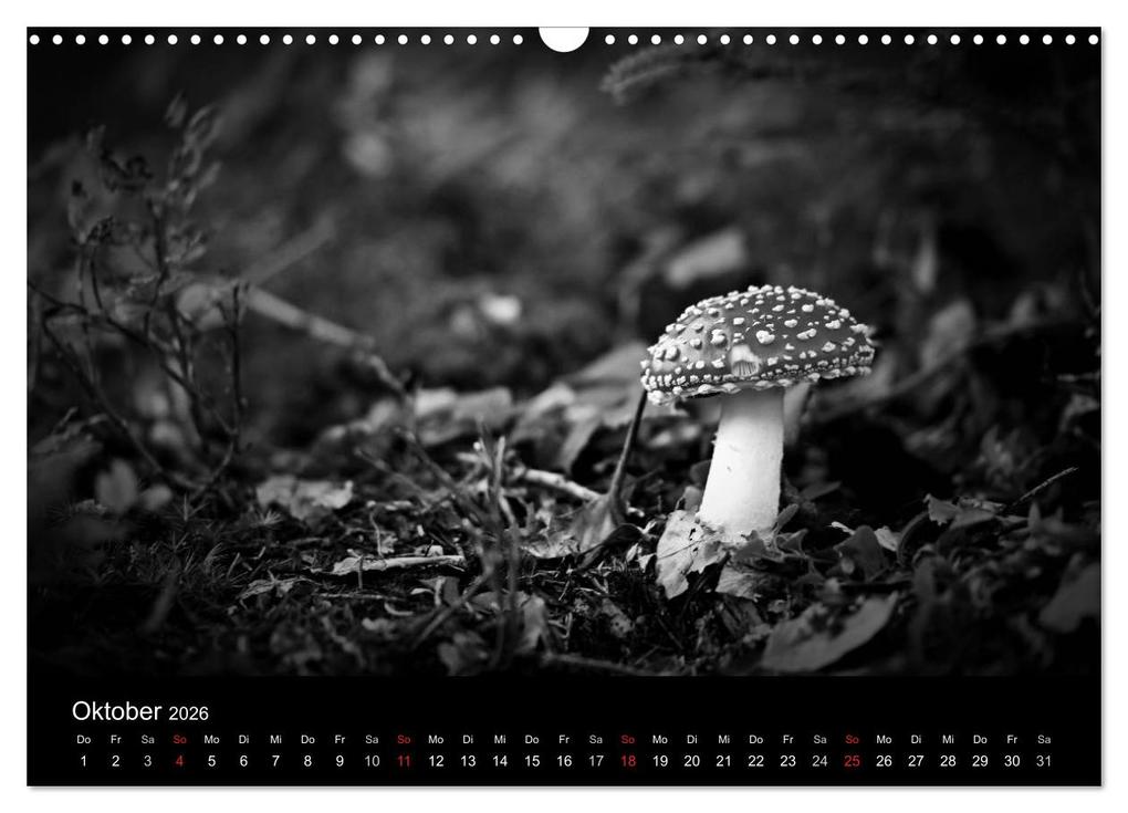 Weitere Ansicht: Hexen (Wandkalender 2026 DIN A3 quer), CALVENDO Monatskalender | Calvendo, Michel Villard
