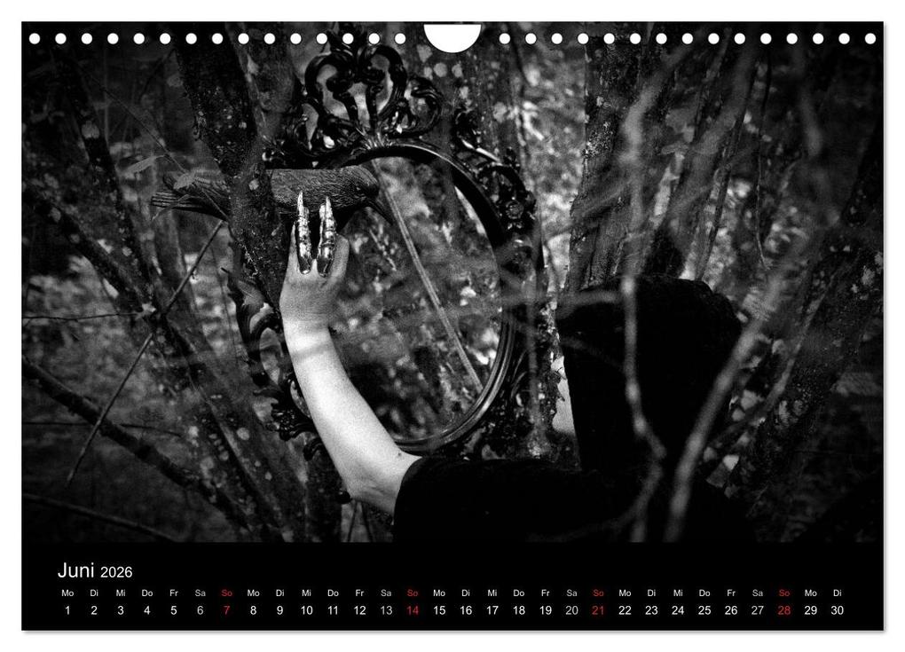 Weitere Ansicht: Hexen (Wandkalender 2026 DIN A4 quer), CALVENDO Monatskalender | Calvendo, Michel Villard