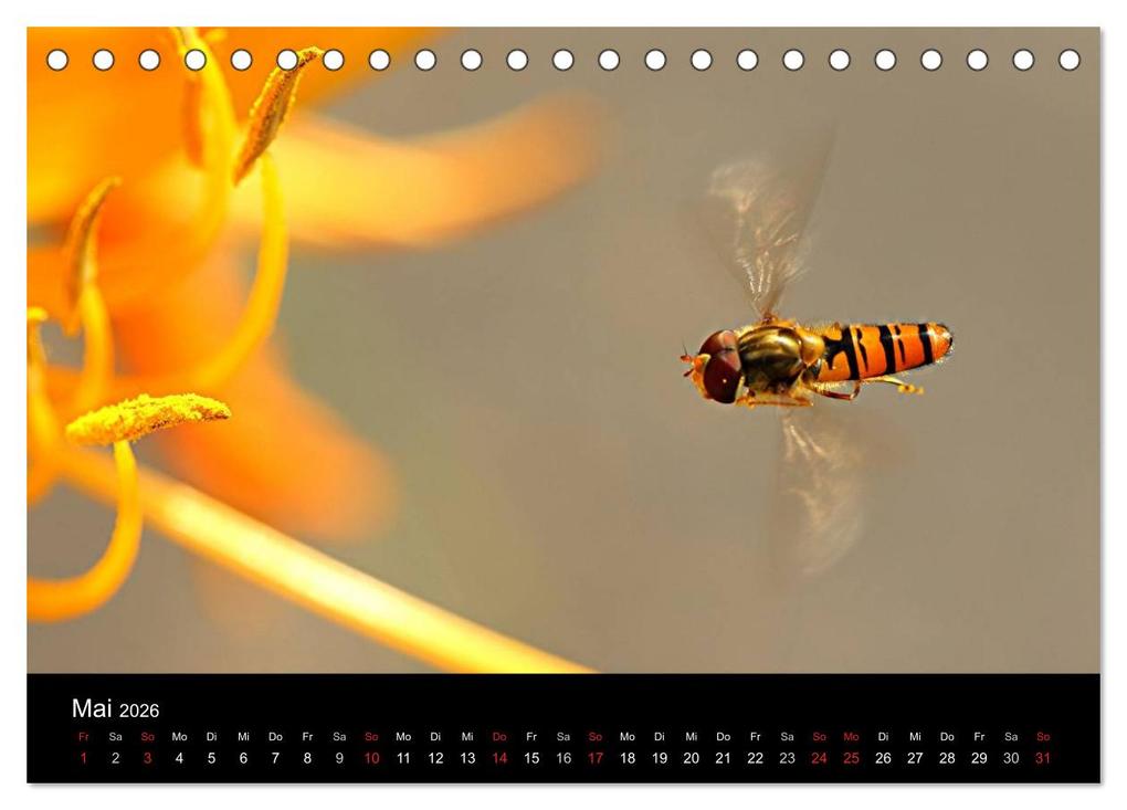 Weitere Ansicht: Makro-Kalender 2026 (Tischkalender 2026 DIN A5 quer), CALVENDO Monatskalender | Calvendo, Bernd Witkowski