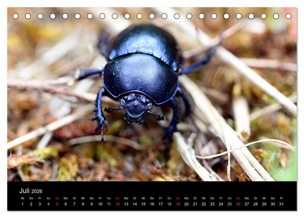 Weitere Ansicht: Makro-Kalender 2026 (Tischkalender 2026 DIN A5 quer), CALVENDO Monatskalender | Calvendo, Bernd Witkowski