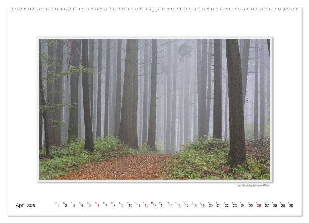 Weitere Ansicht: Emotionale Momente: Der nördliche Westerwald - rau und herzlich. (Wandkalender 2026 DIN A2 quer), CALVENDO Monatskalender | Ingo Gerlach, Calvendo