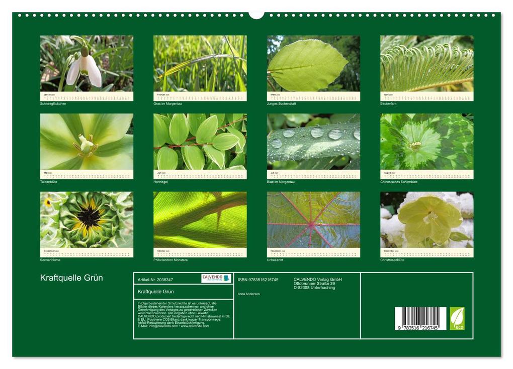 Weitere Ansicht: Kraftquelle Grün (hochwertiger Premium Wandkalender 2026 DIN A2 quer), Kunstdruck in Hochglanz | Ilona Andersen, Calvendo