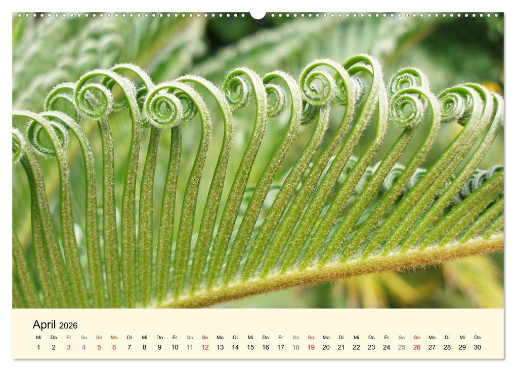 Weitere Ansicht: Kraftquelle Grün (hochwertiger Premium Wandkalender 2026 DIN A2 quer), Kunstdruck in Hochglanz | Ilona Andersen, Calvendo