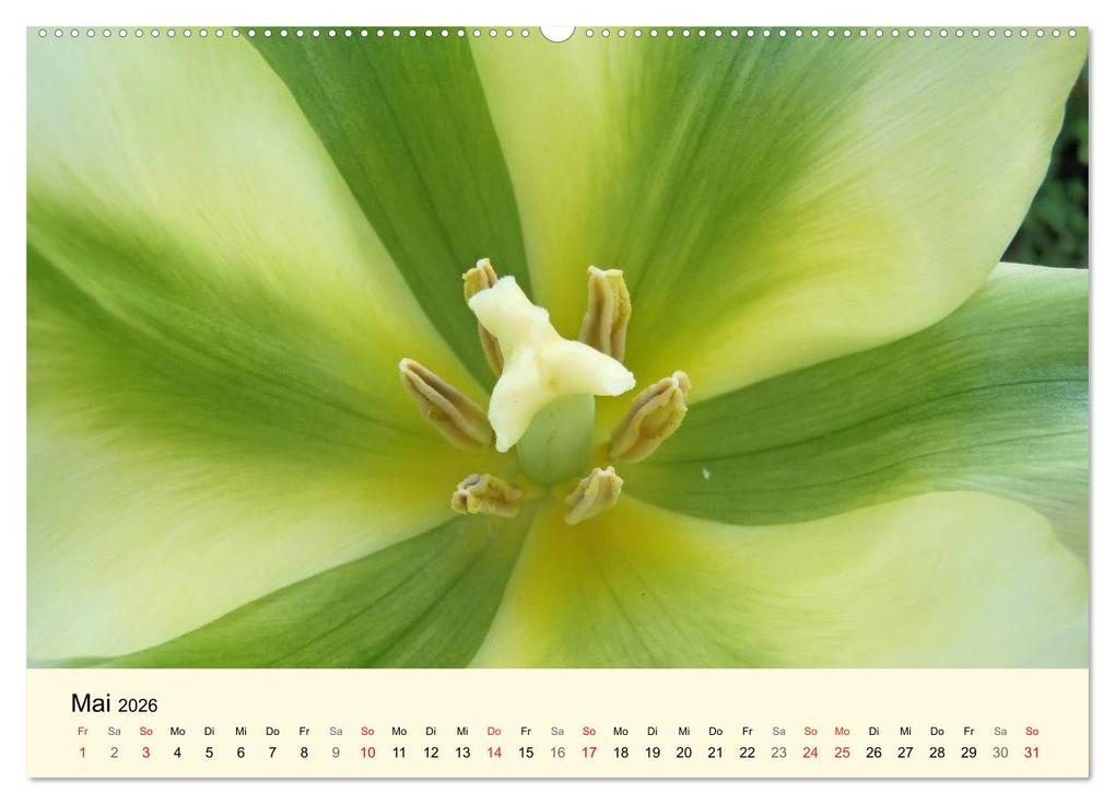 Weitere Ansicht: Kraftquelle Grün (hochwertiger Premium Wandkalender 2026 DIN A2 quer), Kunstdruck in Hochglanz | Ilona Andersen, Calvendo