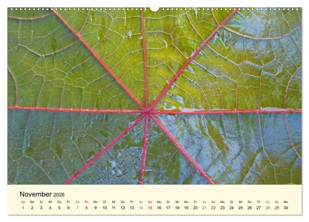 Weitere Ansicht: Kraftquelle Grün (hochwertiger Premium Wandkalender 2026 DIN A2 quer), Kunstdruck in Hochglanz | Ilona Andersen, Calvendo