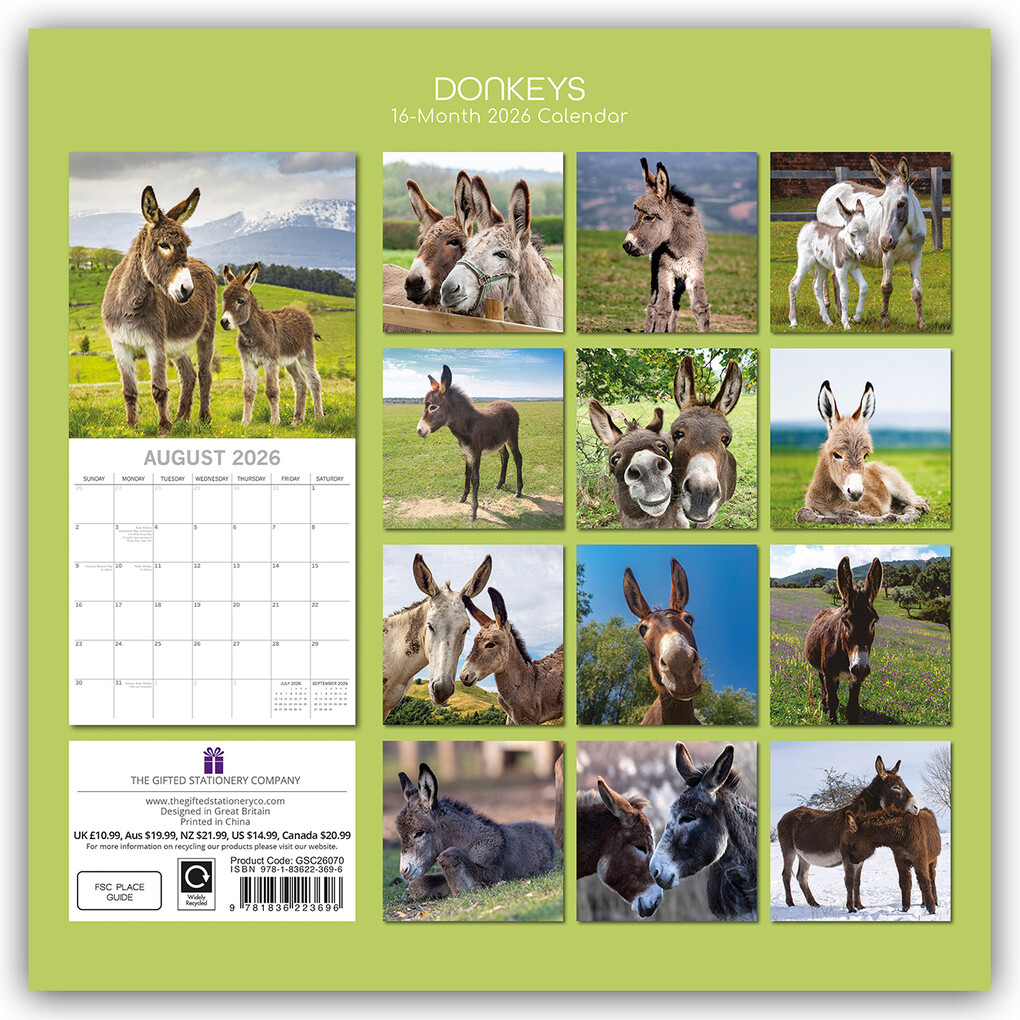 Weitere Ansicht: Donkeys - Esel 2026 - 16-Monatskalender | Gifted Stationery Co. Ltd