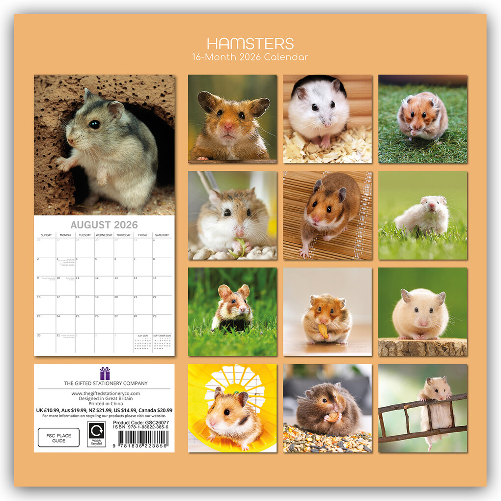Weitere Ansicht: Hamsters - Hamster 2026 - 16-Monatskalender | Gifted Stationery Co. Ltd