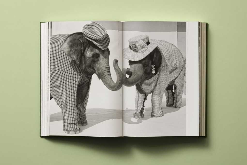 Weitere Ansicht: Bruce Weber. My Education