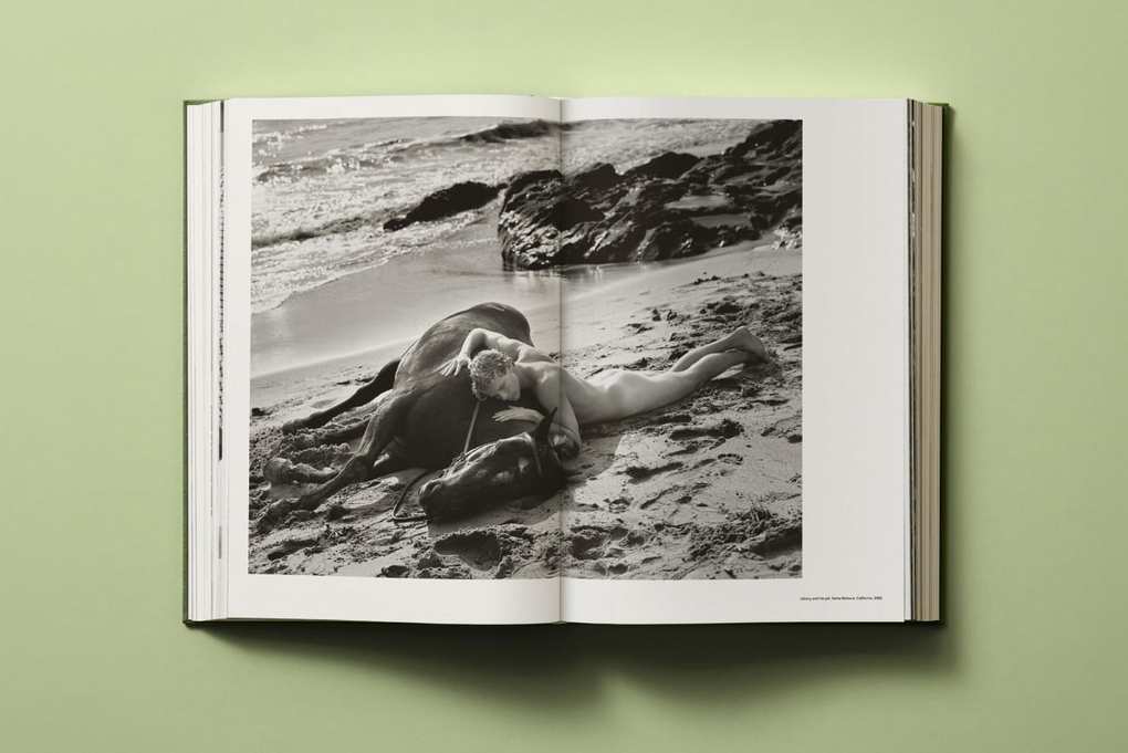 Weitere Ansicht: Bruce Weber. My Education