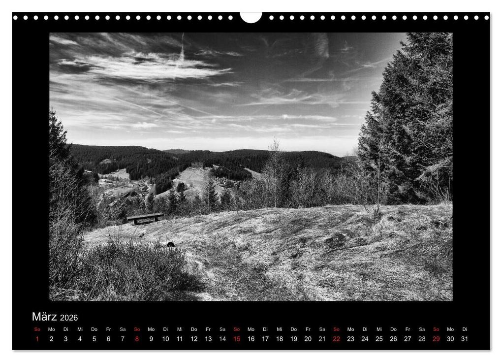 Weitere Ansicht: Harz-Bilder in monochrome (Wandkalender 2026 DIN A3 quer), CALVENDO Monatskalender | Andreas Levi, Calvendo