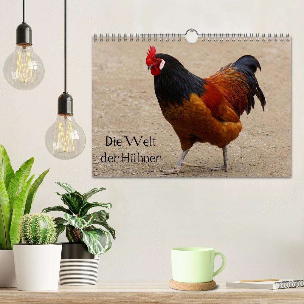 Weitere Ansicht: Die Welt der Hühner (Wandkalender 2026 DIN A4 quer), CALVENDO Monatskalender | kattobello kattobello, Calvendo, Kattobello