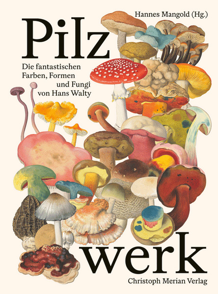 Produktbild: Pilzwerk | Hannes Mangold