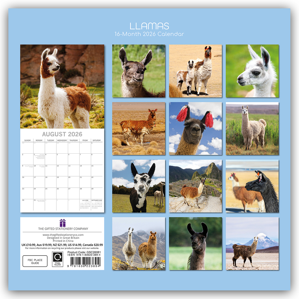 Weitere Ansicht: Llamas - Lamas 2026 - 16-Monatskalender | Gifted Stationery Co. Ltd