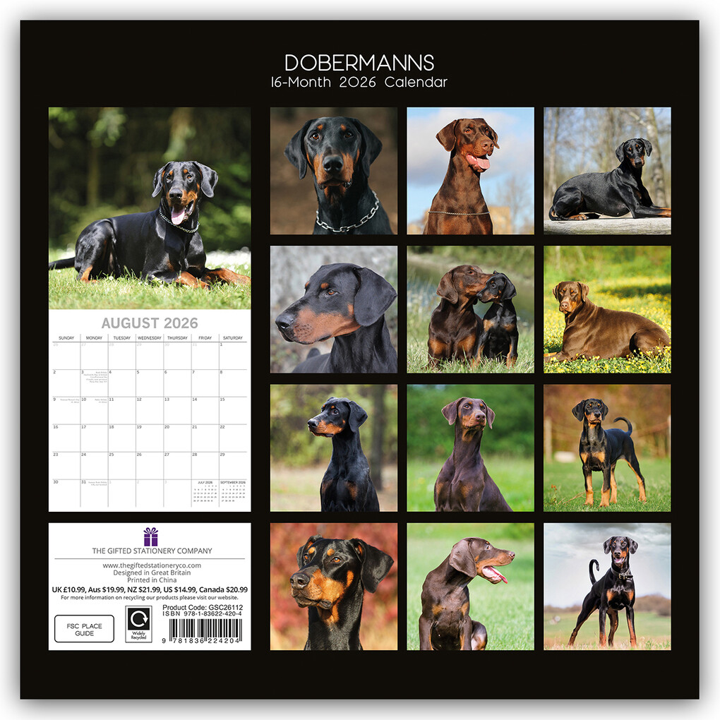 Weitere Ansicht: Dobermans - Dobermann 2026 - 16-Monatskalender | Gifted Stationery Co. Ltd