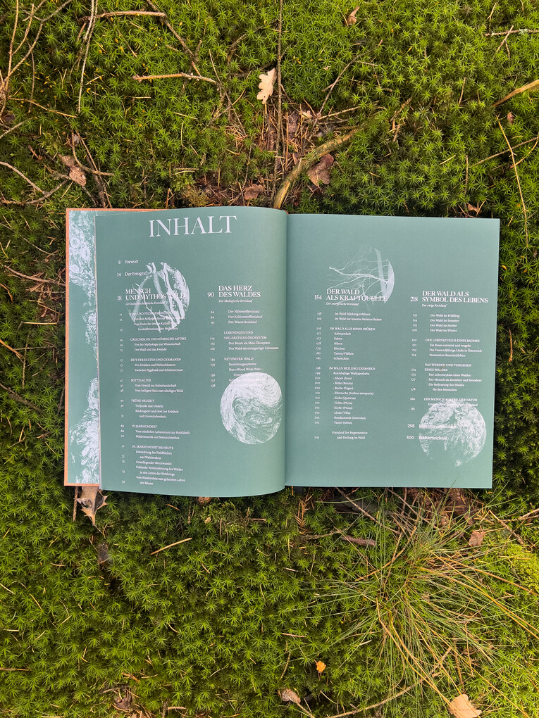 Weitere Ansicht: THE WOODS | Pia Franziska Kraus