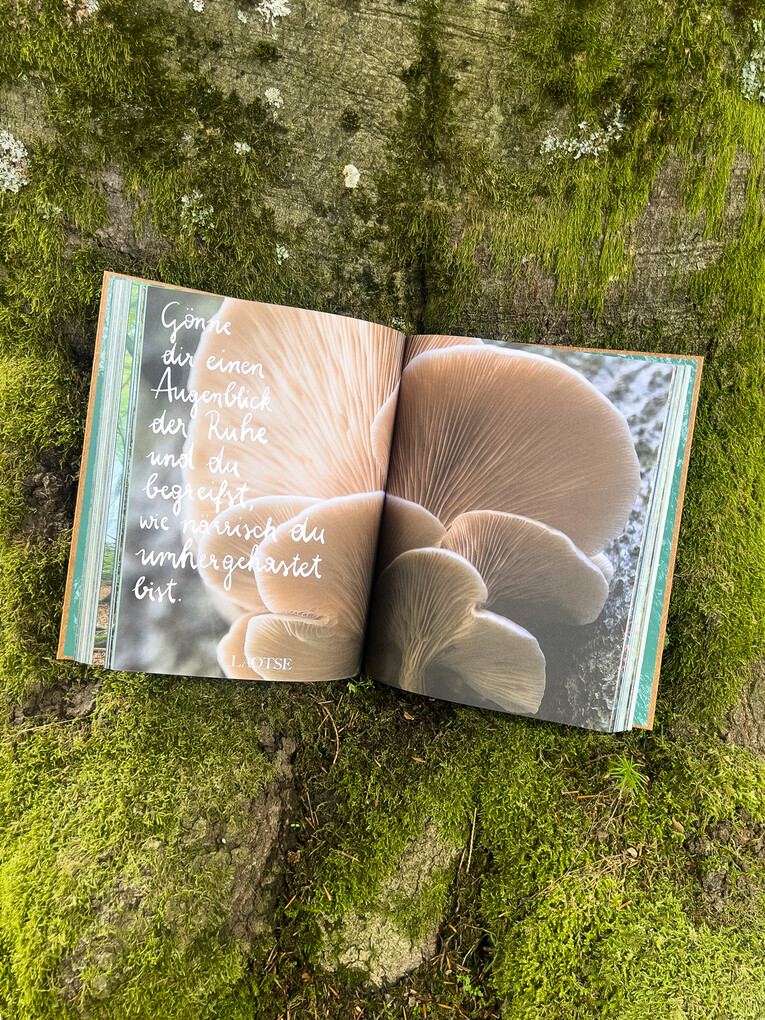 Weitere Ansicht: THE WOODS | Pia Franziska Kraus