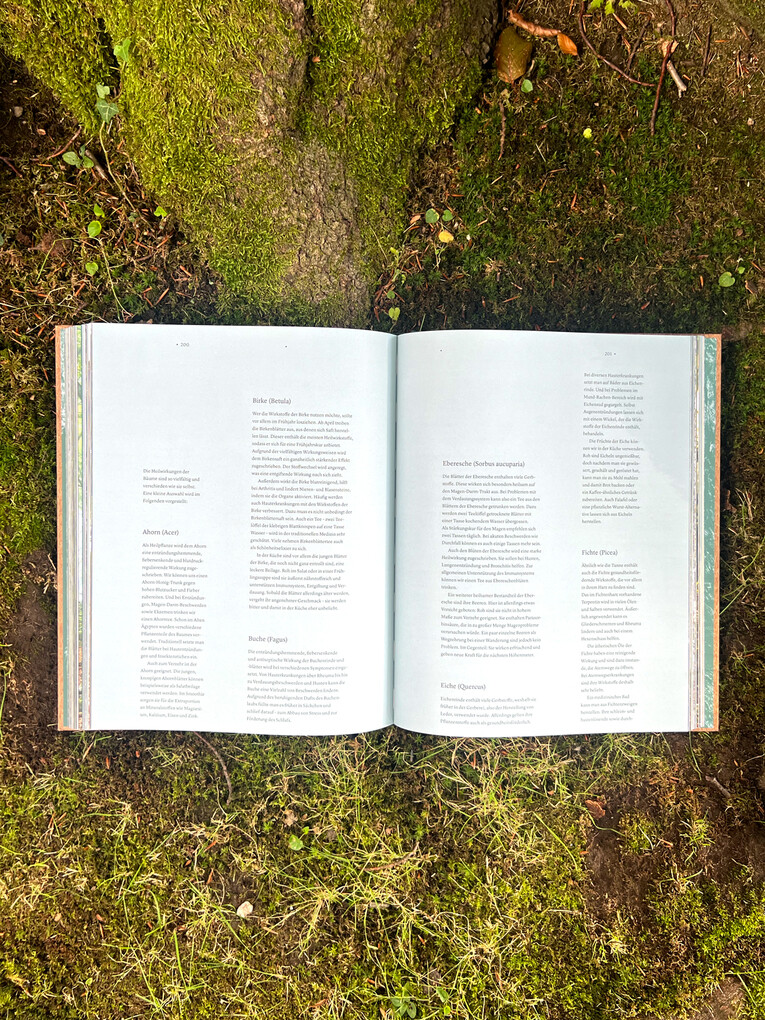 Weitere Ansicht: THE WOODS | Pia Franziska Kraus