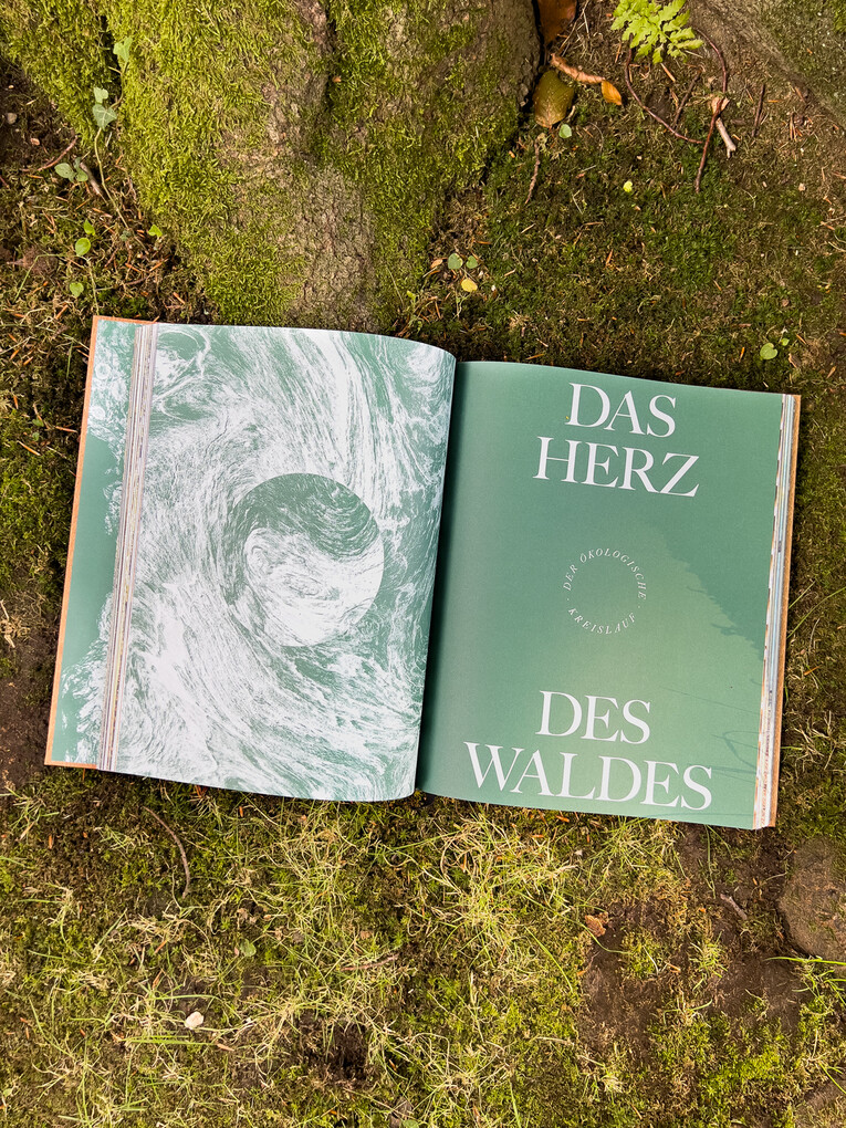 Weitere Ansicht: THE WOODS | Pia Franziska Kraus