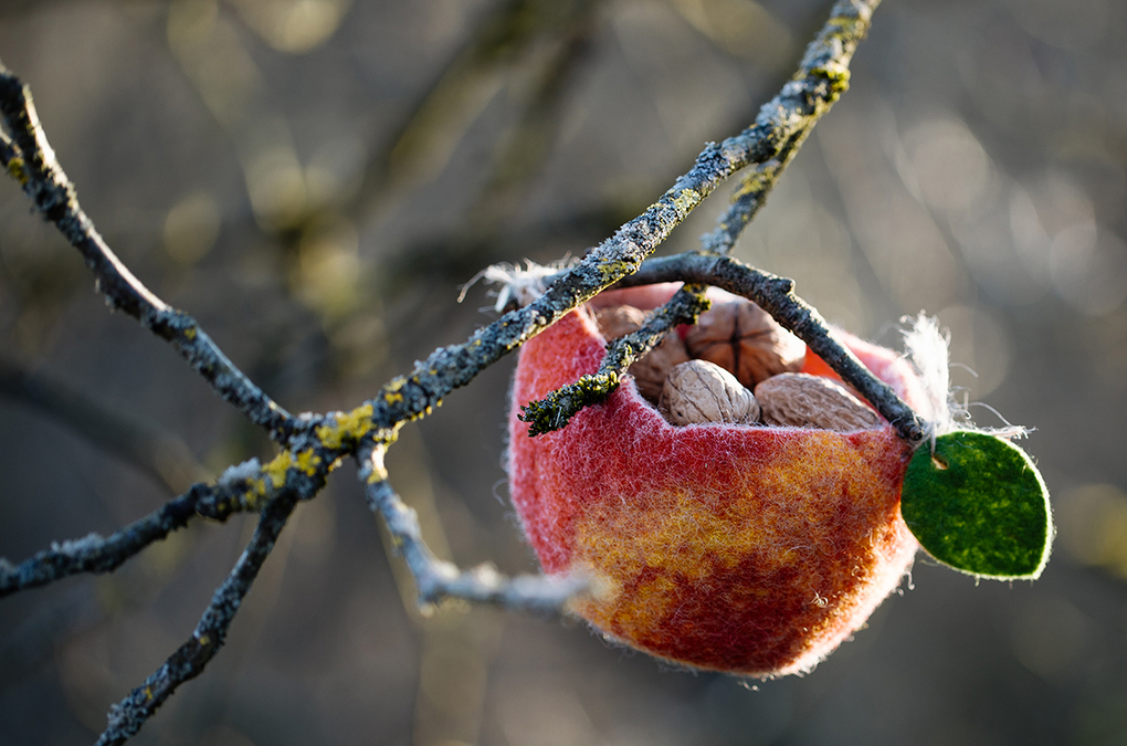 Weitere Ansicht: Kleine Lieblinge | Michèle Brunnmeier